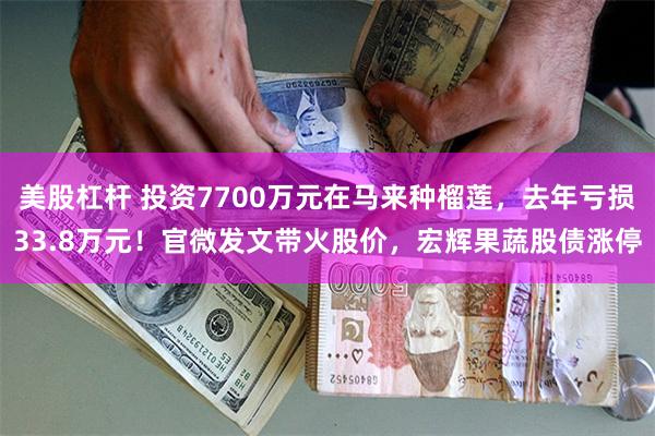 美股杠杆 投资7700万元在马来种榴莲，去年亏损33.8万元！官微发文带火股价，宏辉果蔬股债涨停