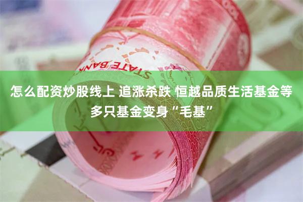 怎么配资炒股线上 追涨杀跌 恒越品质生活基金等多只基金变身“毛基”