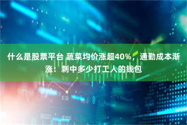 什么是股票平台 蔬菜均价涨超40%，通勤成本渐涨：刺中多少打工人的钱包