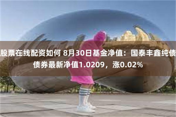 股票在线配资如何 8月30日基金净值：国泰丰鑫纯债债券最新净值1.0209，涨0.02%