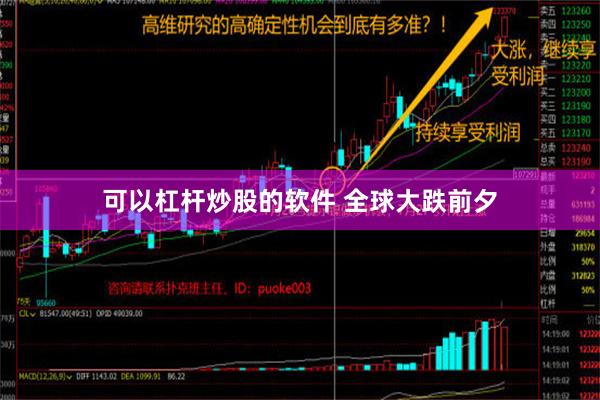 可以杠杆炒股的软件 全球大跌前夕