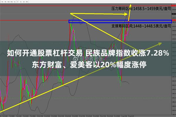 如何开通股票杠杆交易 民族品牌指数收涨7.28% 东方财富、爱美客以20%幅度涨停