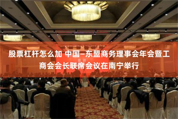 股票杠杆怎么加 中国—东盟商务理事会年会暨工商会会长联席会议在南宁举行