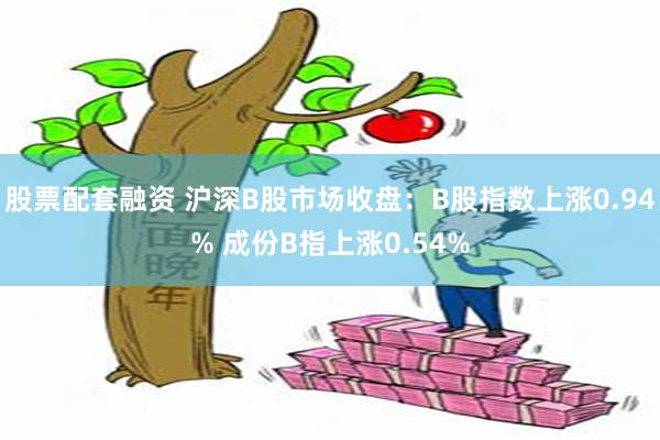 股票配套融资 沪深B股市场收盘：B股指数上涨0.94% 成份B指上涨0.54%