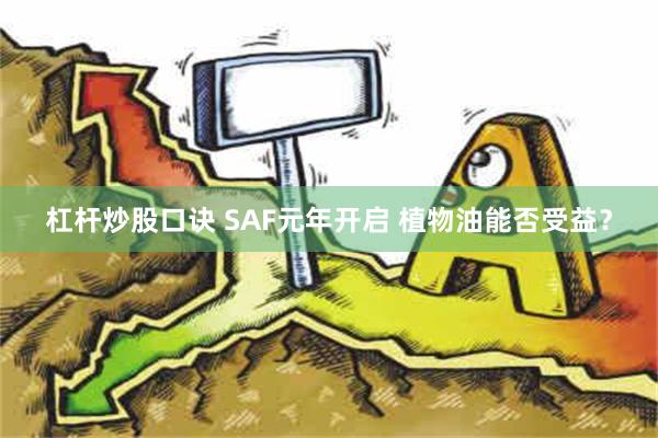 杠杆炒股口诀 SAF元年开启 植物油能否受益？